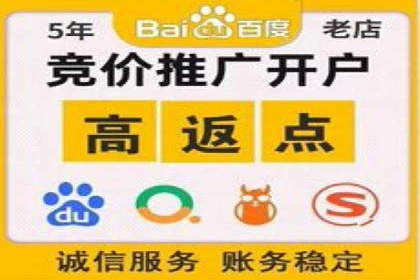 SEM托管服务，成功案例展示转化优势
